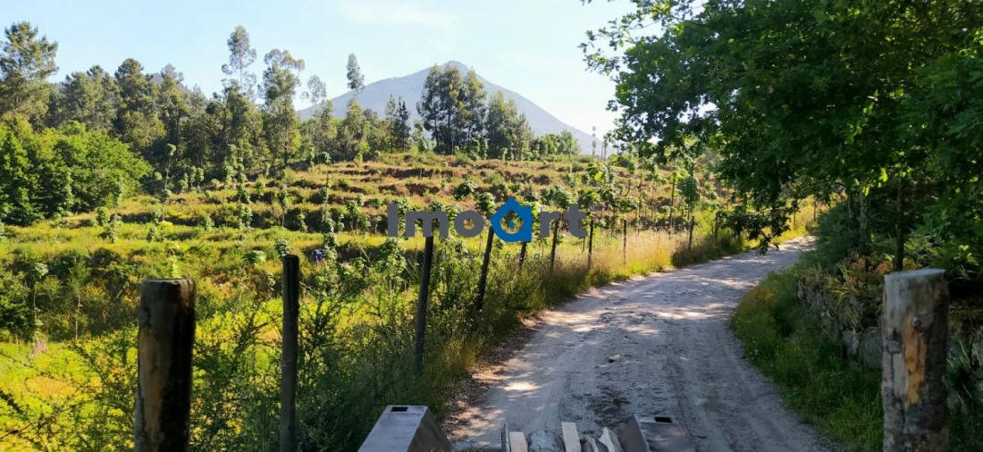 Terreno para Venda em Mondim de Basto