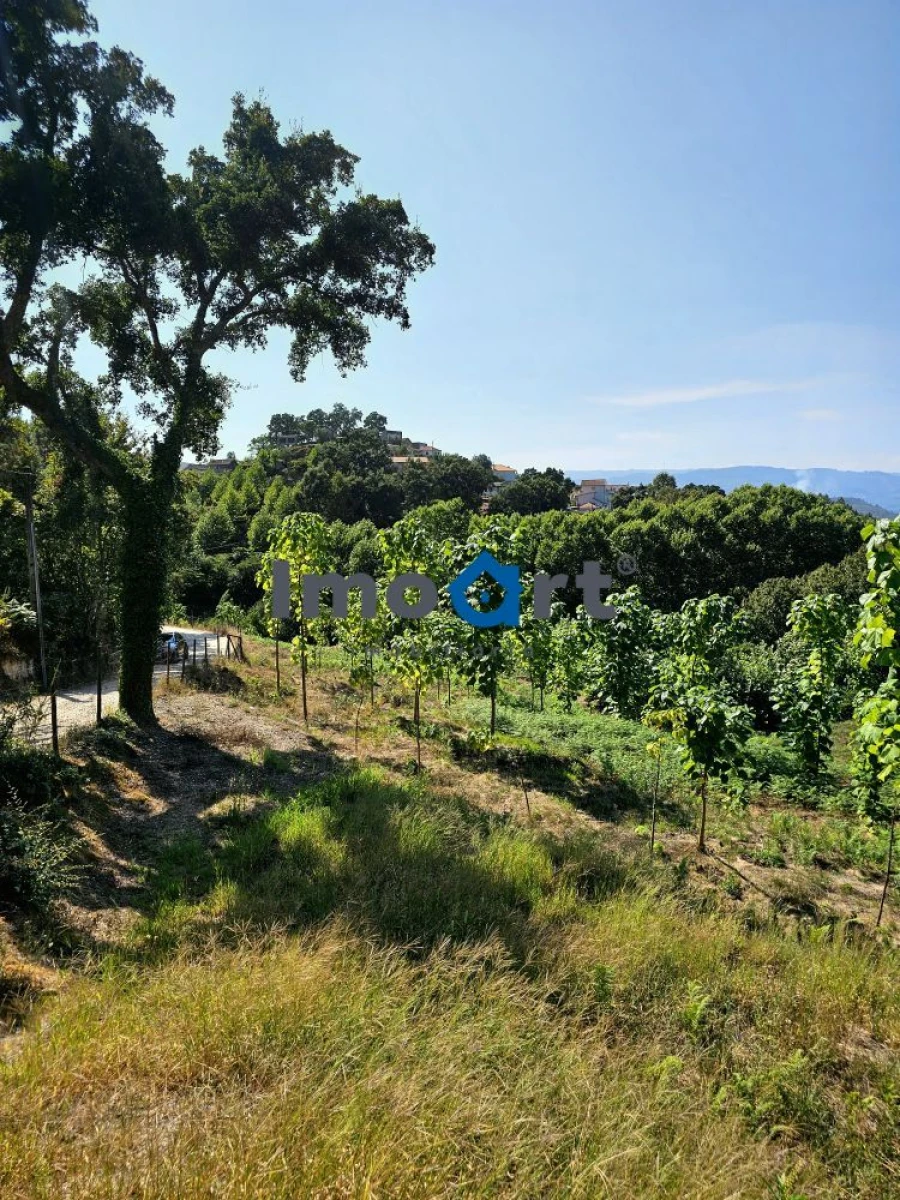 Terreno para Venda em Mondim de Basto Foto 16