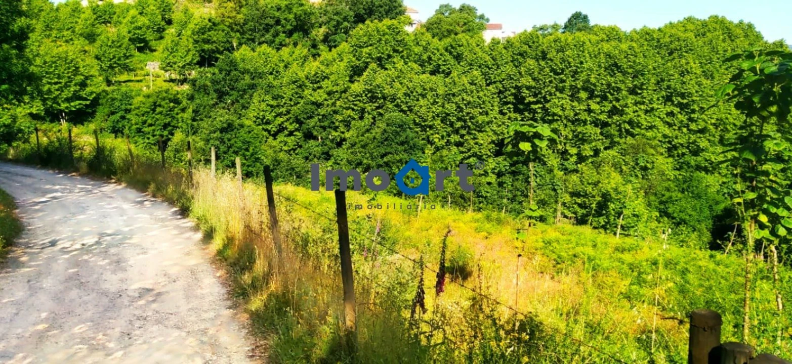 Terreno para Venda em Mondim de Basto Foto 7