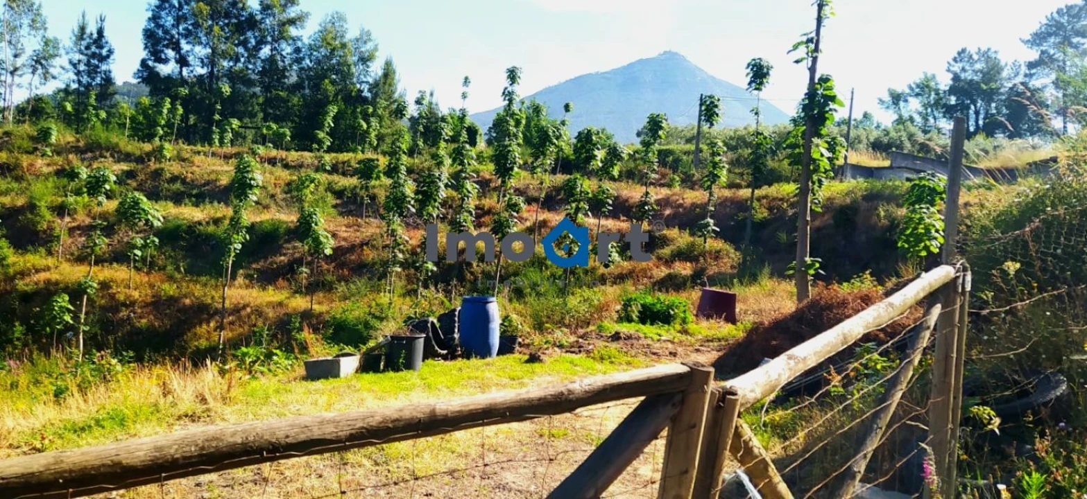 Terreno para Venda em Mondim de Basto Foto 13