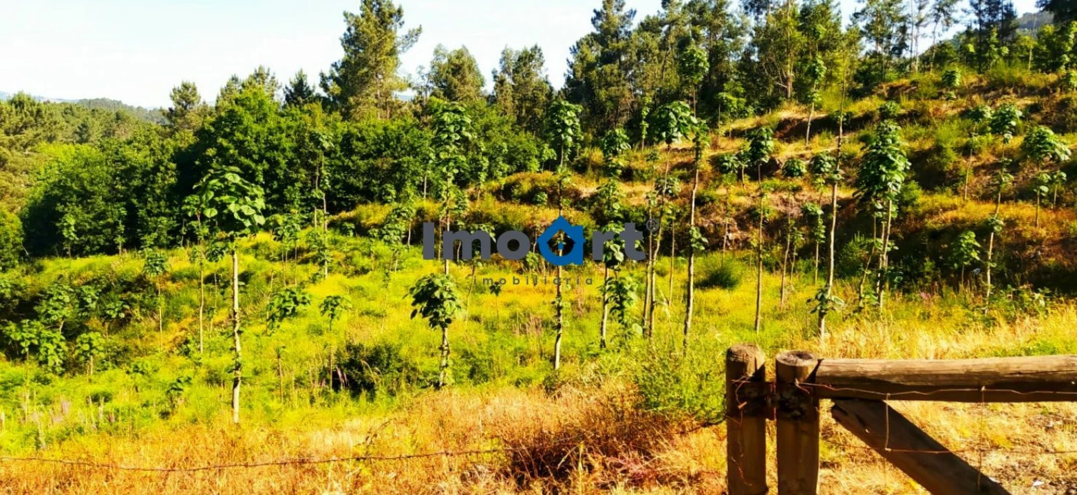 Terreno para Venda em Mondim de Basto Foto 12