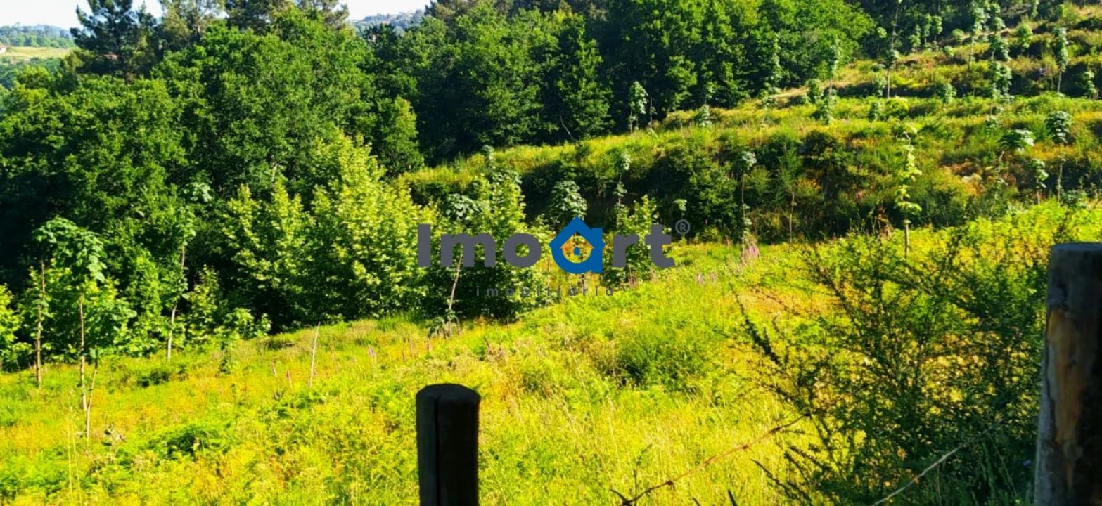 Terreno para Venda em Mondim de Basto Foto 1