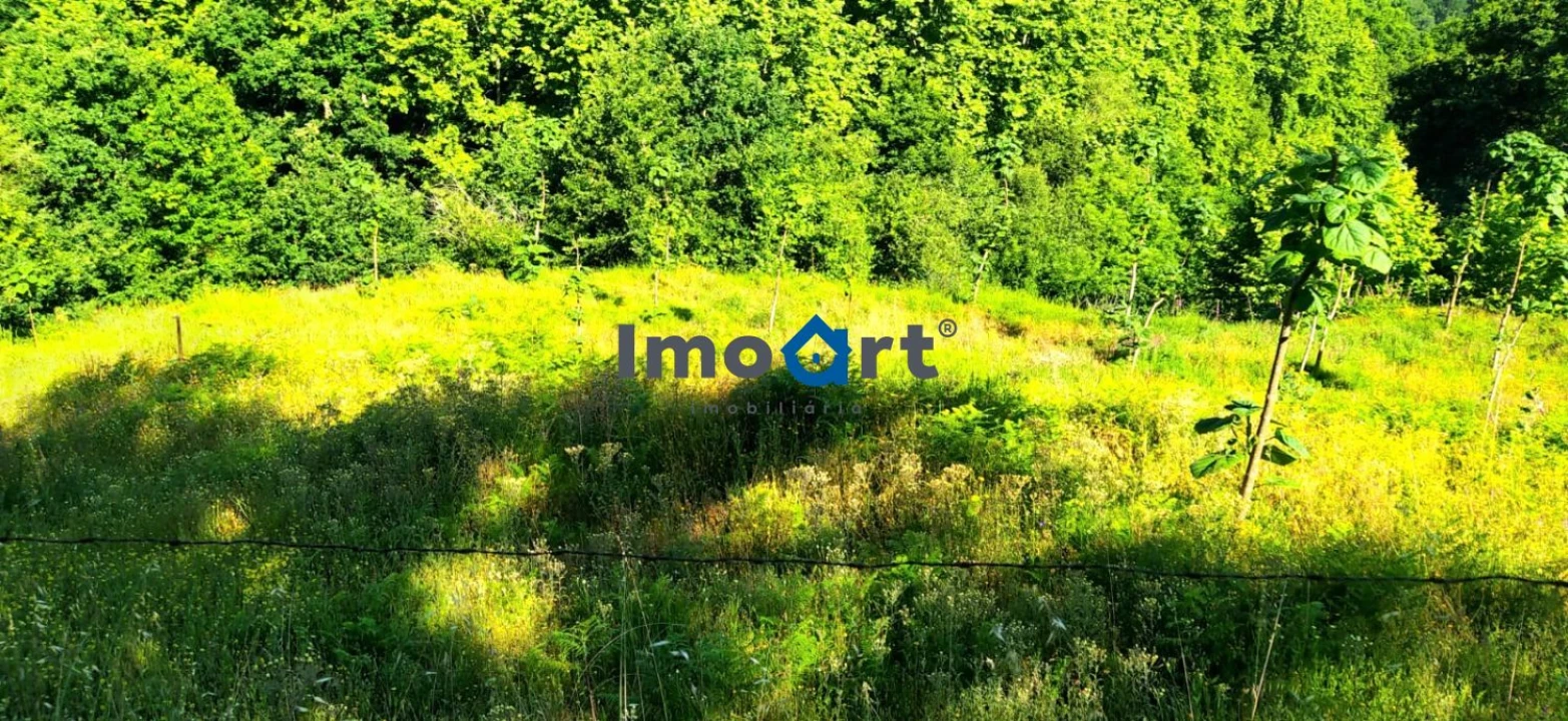 Terreno para Venda em Mondim de Basto Foto 2