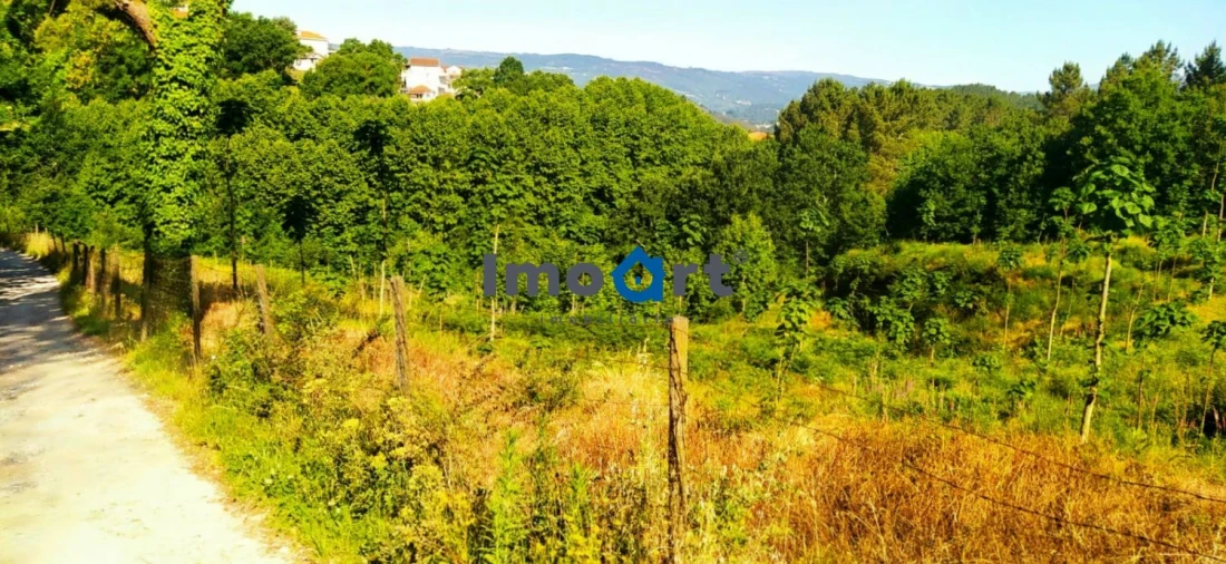 Terreno para Venda em Mondim de Basto Foto 11