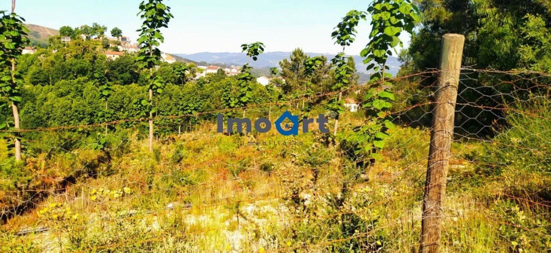 Terreno para Venda em Mondim de Basto Foto 4