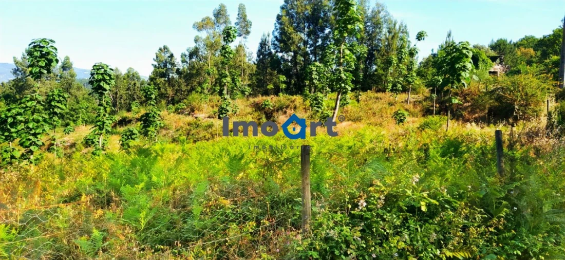 Terreno para Venda em Mondim de Basto Foto 9