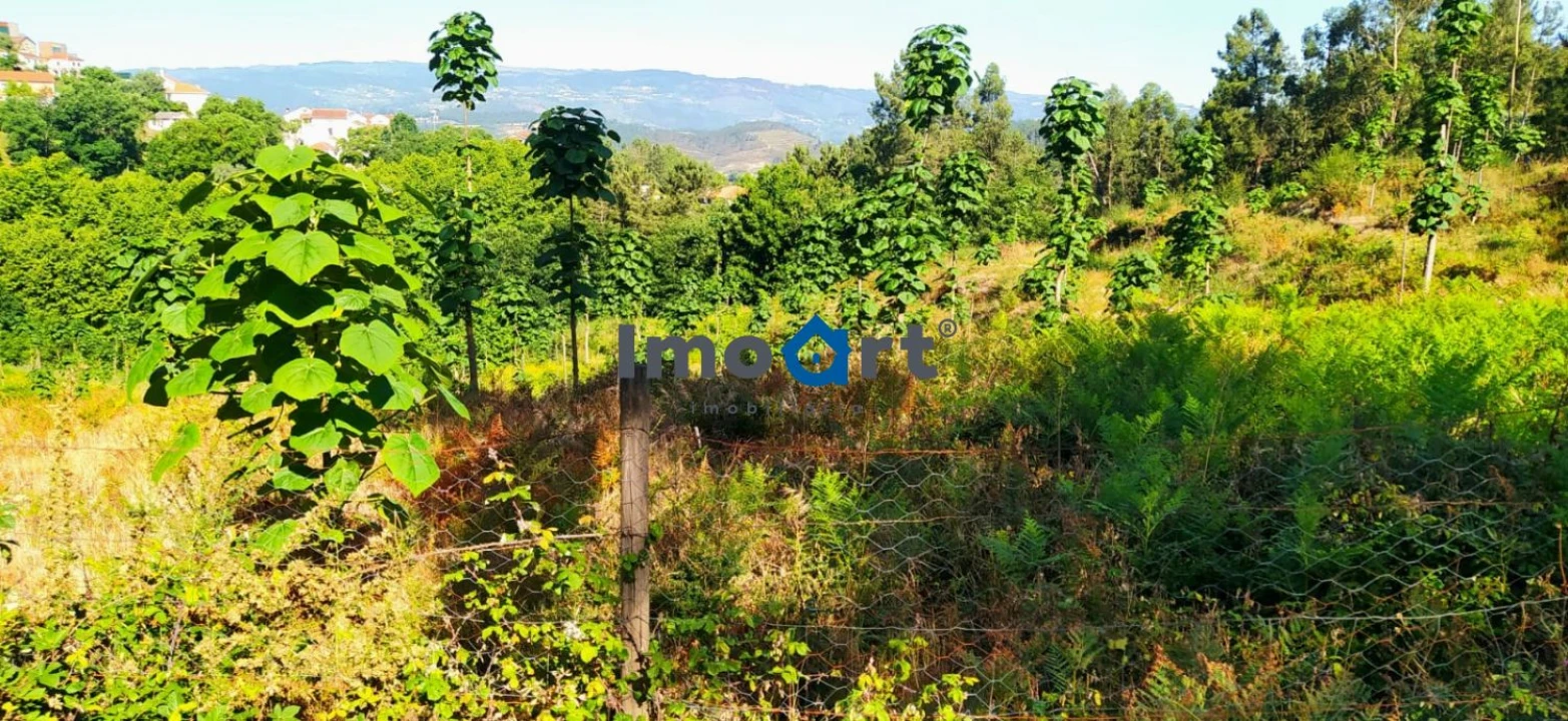 Terreno para Venda em Mondim de Basto Foto 7