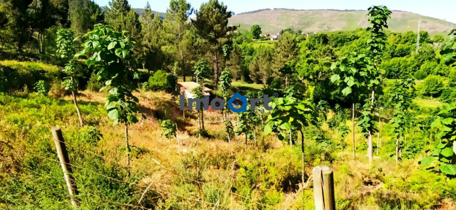 Terreno para Venda em Mondim de Basto Foto 10