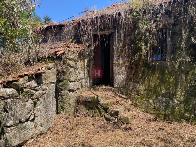 Moradia T2 para Venda em Lodares Foto 6