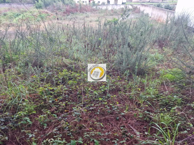 Terreno para Venda em Anta e Guetim Foto 10