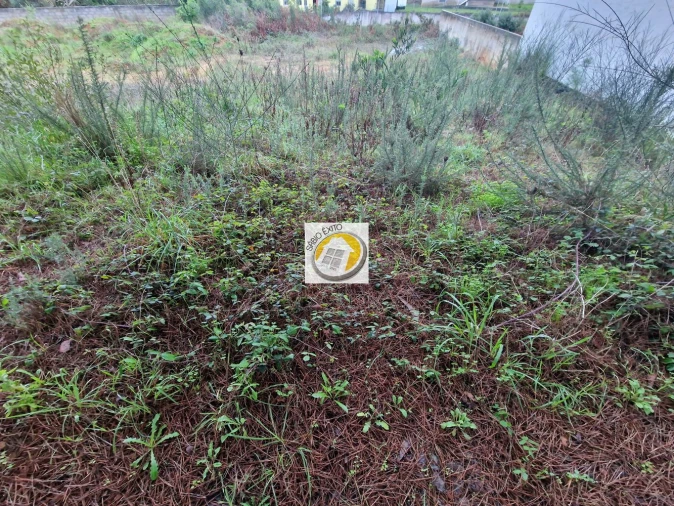 Terreno para Venda em Anta e Guetim Foto 11