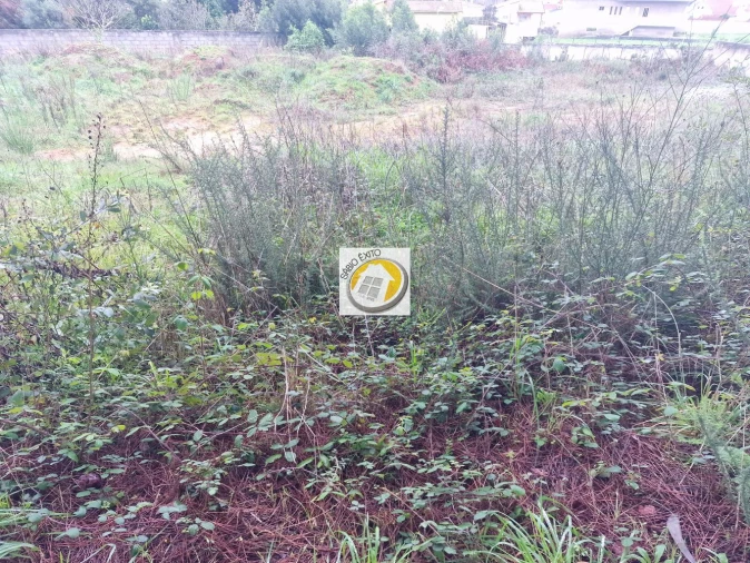 Terreno para Venda em Anta e Guetim Foto 8