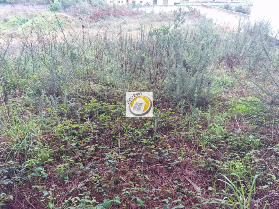 Terreno para Venda em Anta e Guetim Foto 9