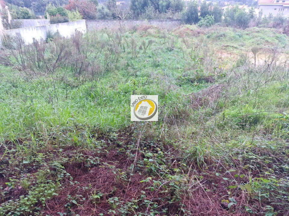 Terreno para Venda em Anta e Guetim Foto 4