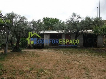Quinta T6 para Venda em Castelo Branco