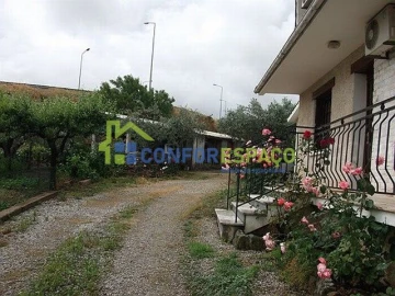 Quinta T6 para Venda em Castelo Branco