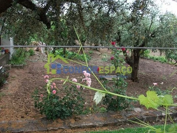 Quinta T6 para Venda em Castelo Branco