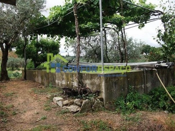 Quinta T6 para Venda em Castelo Branco