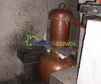 Quinta T6 para Venda em Castelo Branco