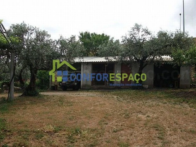 Quinta T6 para Venda em Castelo Branco Foto 11