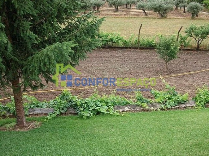 Quinta T6 para Venda em Castelo Branco Foto 7