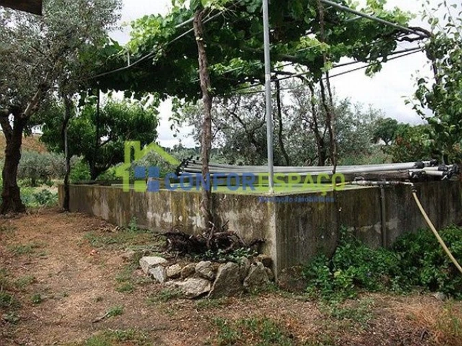 Quinta T6 para Venda em Castelo Branco Foto 16