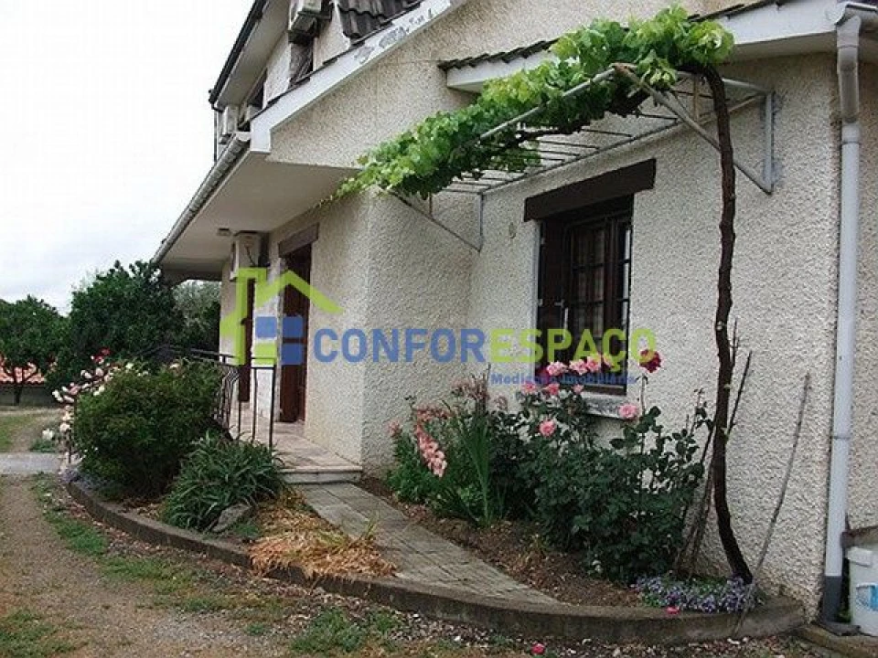 Quinta T6 para Venda em Castelo Branco Foto 3