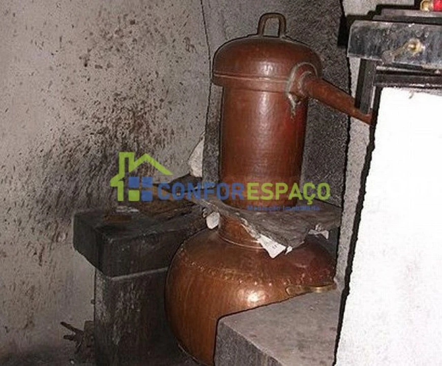 Quinta T6 para Venda em Castelo Branco Foto 46