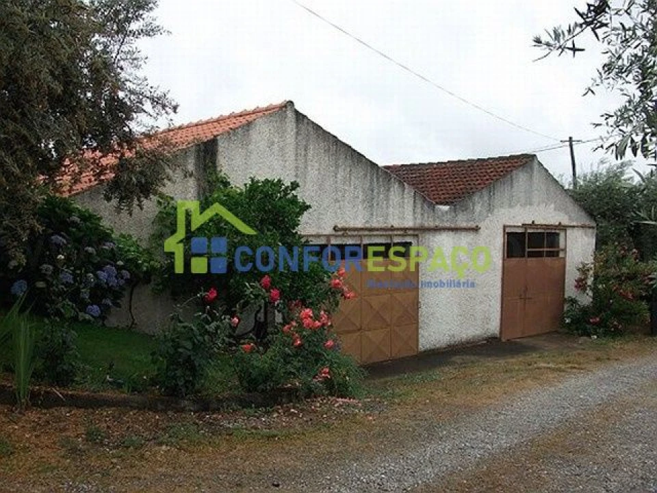 Quinta T6 para Venda em Castelo Branco Foto 15