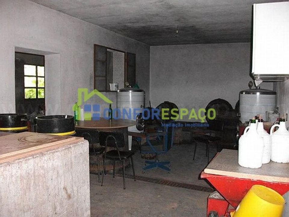 Quinta T6 para Venda em Castelo Branco Foto 44
