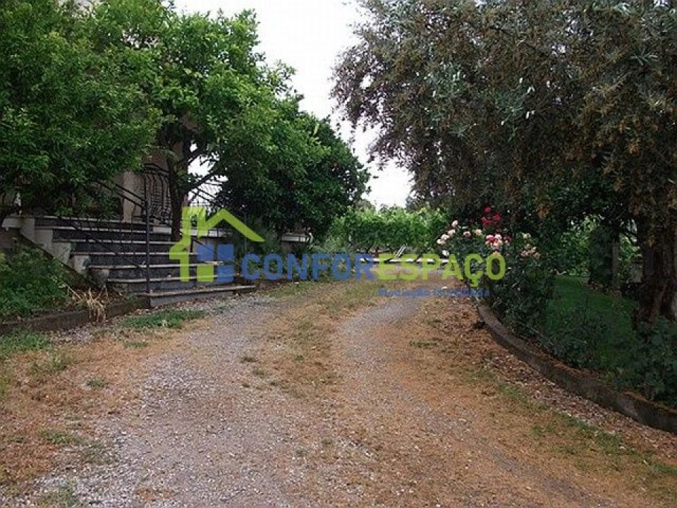 Quinta T6 para Venda em Castelo Branco Foto 8