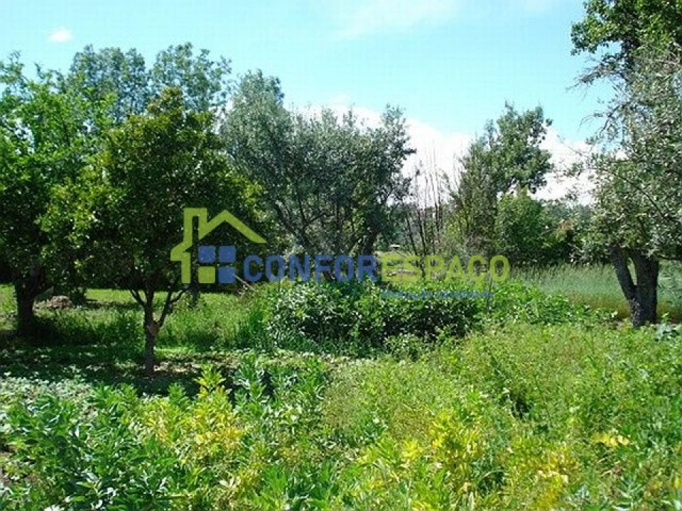 Quinta T0 para Venda em Soalheira Foto 5