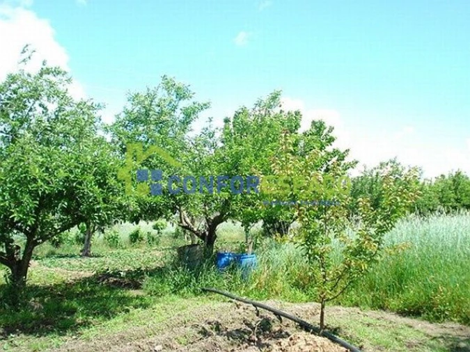 Quinta T0 para Venda em Soalheira Foto 1