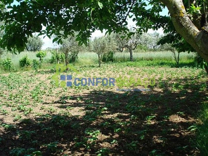 Quinta T0 para Venda em Soalheira Foto 3