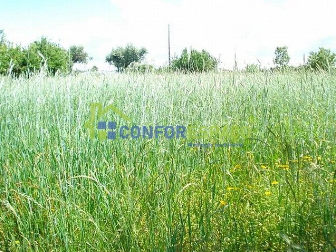 Quinta T0 para Venda em Soalheira Foto 9