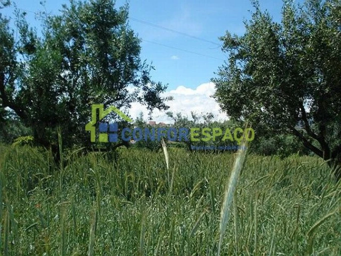 Quinta T0 para Venda em Soalheira Foto 6