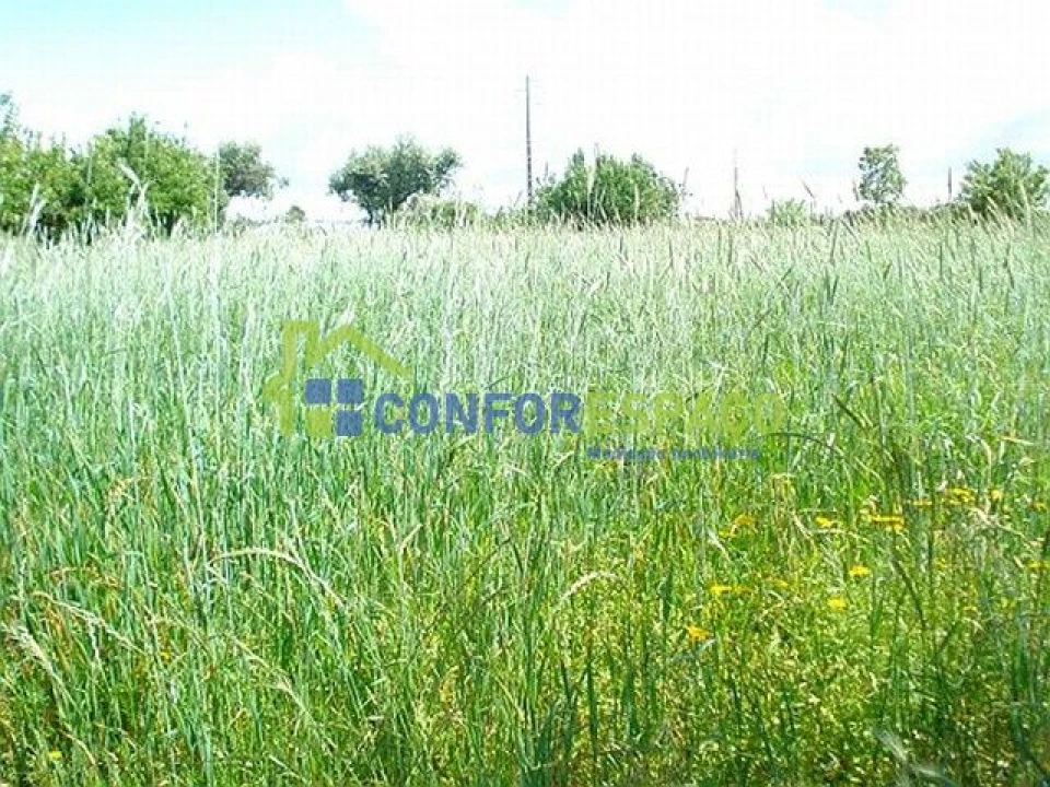 Quinta T0 para Venda em Soalheira Foto 9