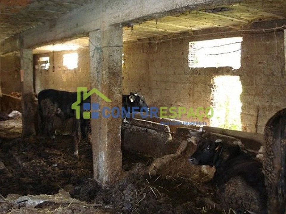 Quinta T0 para Venda em Soalheira Foto 7