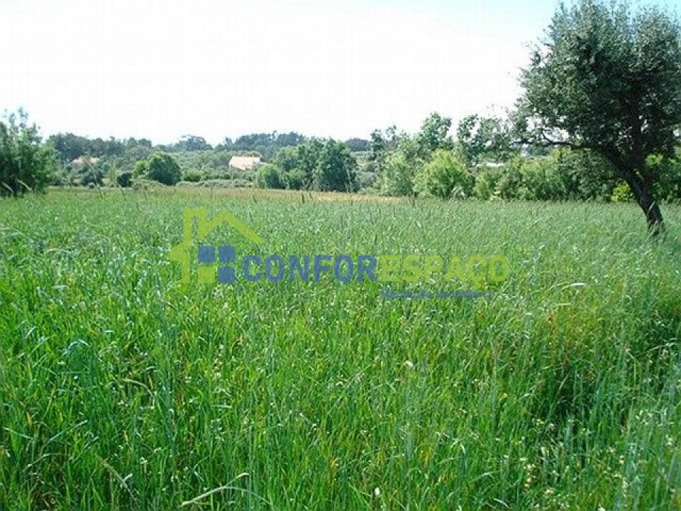 Quinta T0 para Venda em Soalheira Foto 2