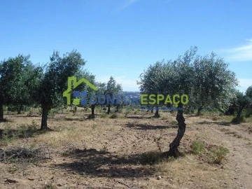 Terreno para Venda em Castelo Branco