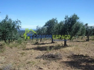Terreno para Venda em Castelo Branco