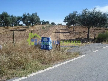 Terreno para Venda em Castelo Branco