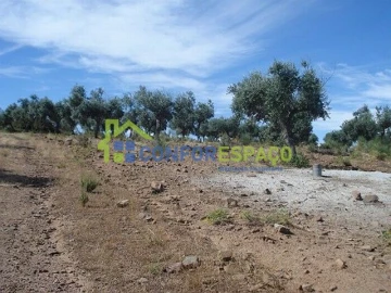 Terreno para Venda em Castelo Branco