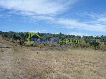 Terreno para Venda em Castelo Branco