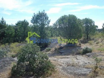 Terreno para Venda em Castelo Branco