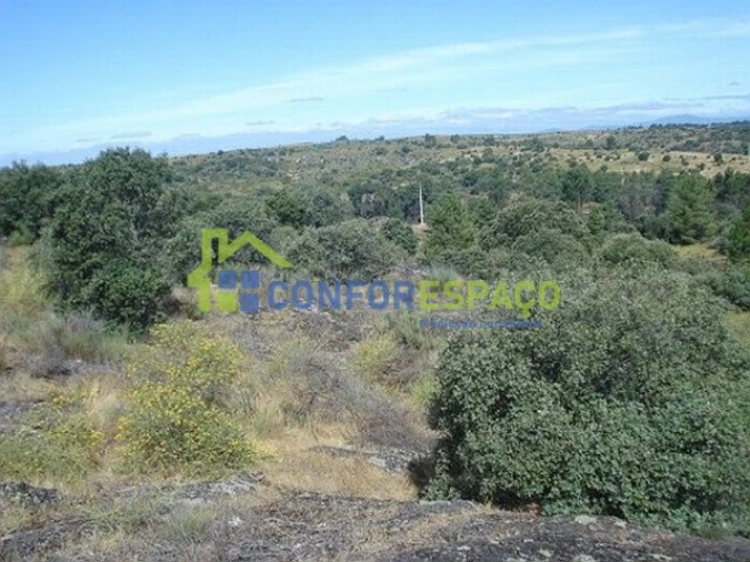 Terreno para Venda em Castelo Branco Foto 6