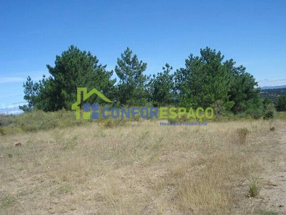 Terreno para Venda em Castelo Branco Foto 10