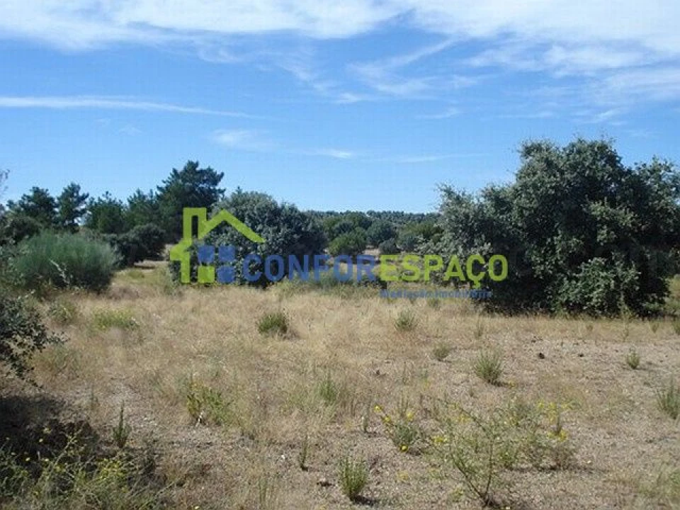 Terreno para Venda em Castelo Branco Foto 7
