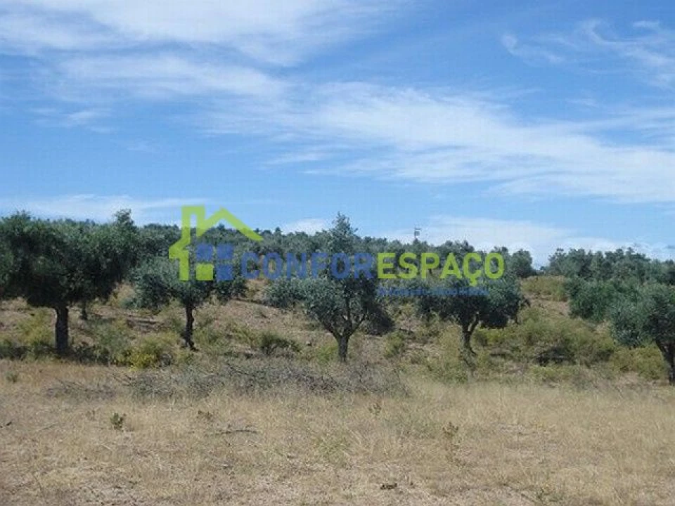 Terreno para Venda em Castelo Branco Foto 8