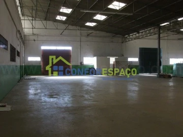 Loja para Venda em Castelo Branco